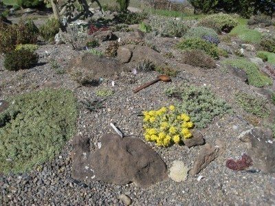 Consejos para un diseño simple de jardines de rocas – Eljardin